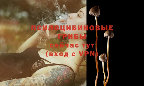 Альфа ПВП Киреевск
